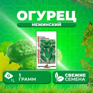 Огурец Нежинский, 1,0г, Удачные семена, Семян больше (1 уп)