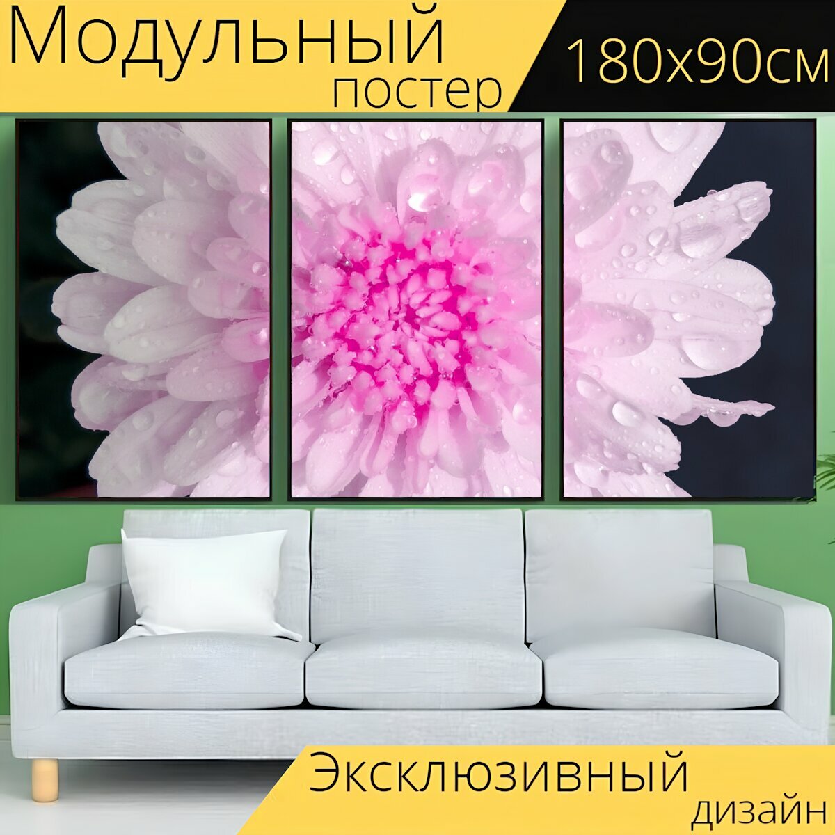 Модульный постер "Розовый белый, белый цветок, розовый цветок" 180 x 90 см. для интерьера