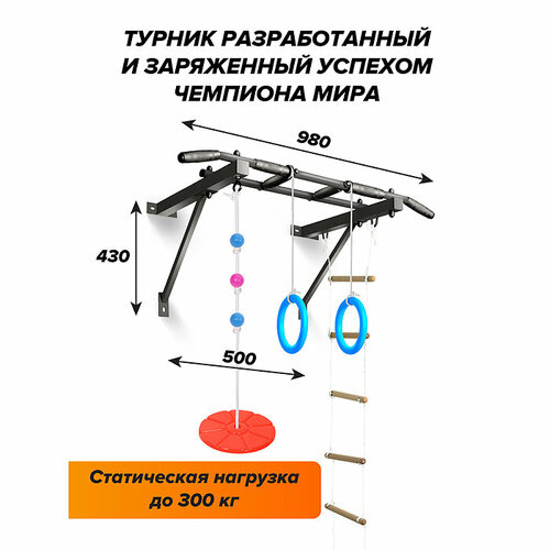 Турник Оптимист (тарзанка, лестница, кольца) черный с черными ручками