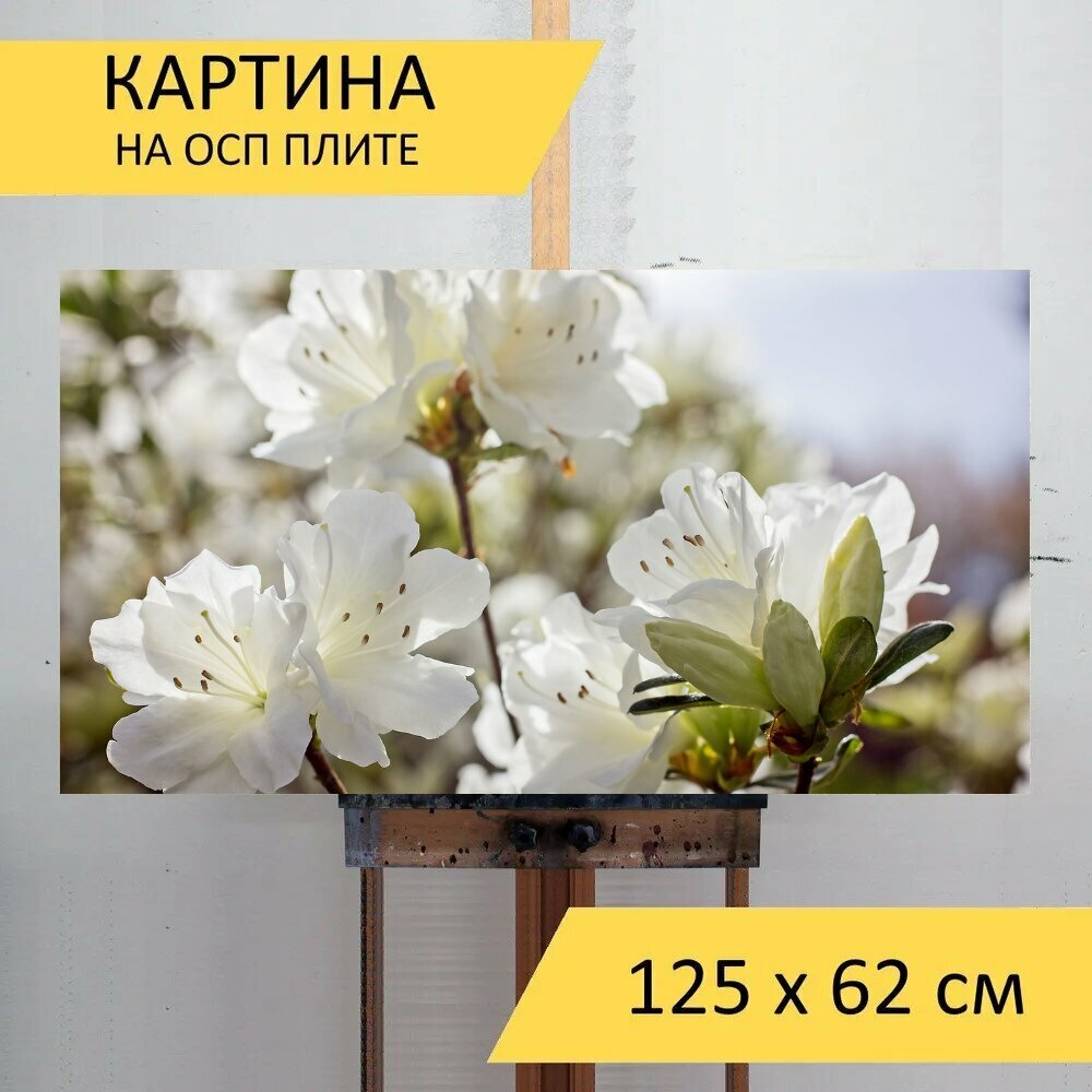 Картина на ОСП 125х62 см. 