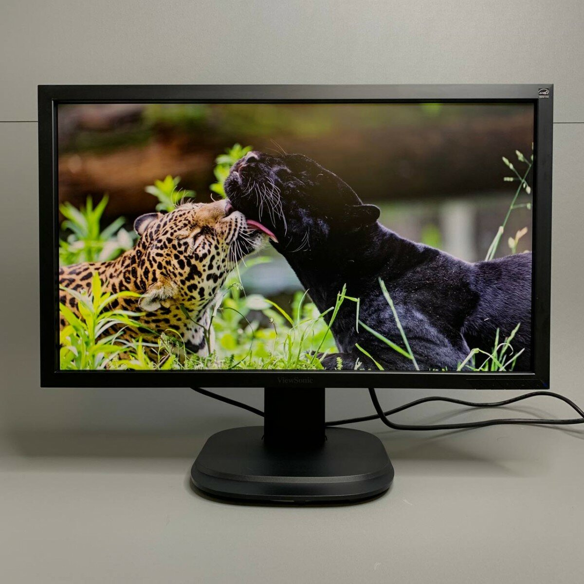 23.6" Монитор Viewsonic VG2439m-LED, 1920x1080, 75 Гц, TN, черный