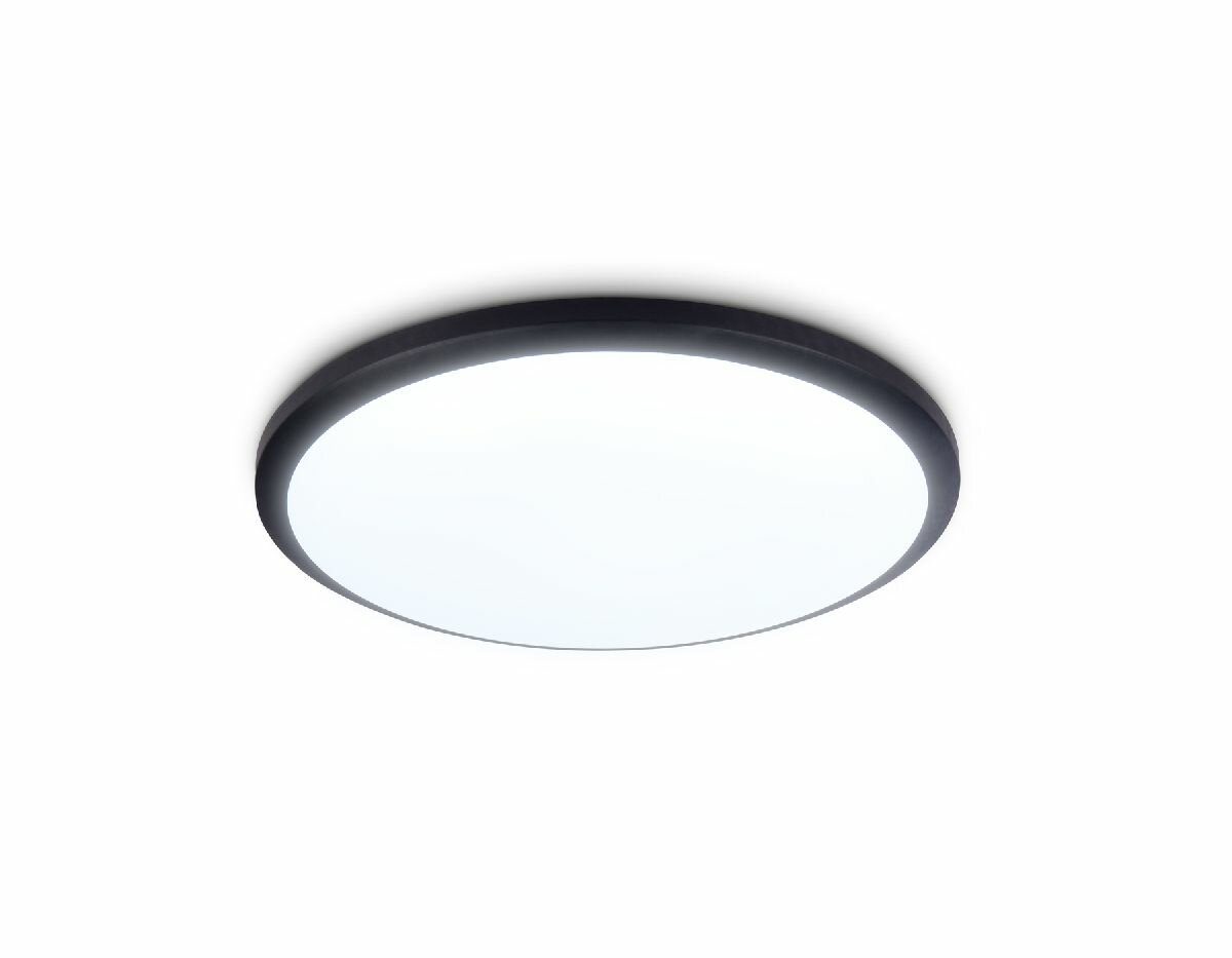 Потолочный светодиодный светильник Ambrella Light Orbital Air FZ1233 BK черный IP44 22W 6400К D260*55 (Без ПДУ)