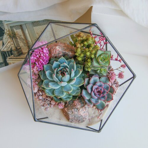Флорариум северинсайд со светолюбивыми суккулентами Весенний от SEVERINSIDE 6900₽