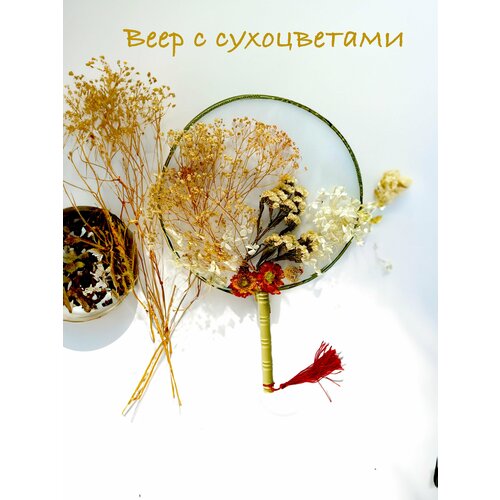 Декоративный веер с сухоцветами 