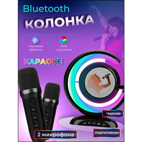 Колонка с караоке портативная с 2 микрофонами черная 251000₽