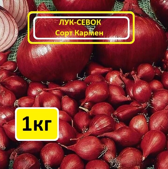 Мячковский лук севок, 1 кг — купить по низкой цене на Яндекс Маркете