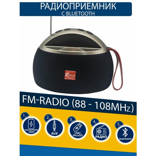 Стильный радиоприемник с качественным звуком 111000₽