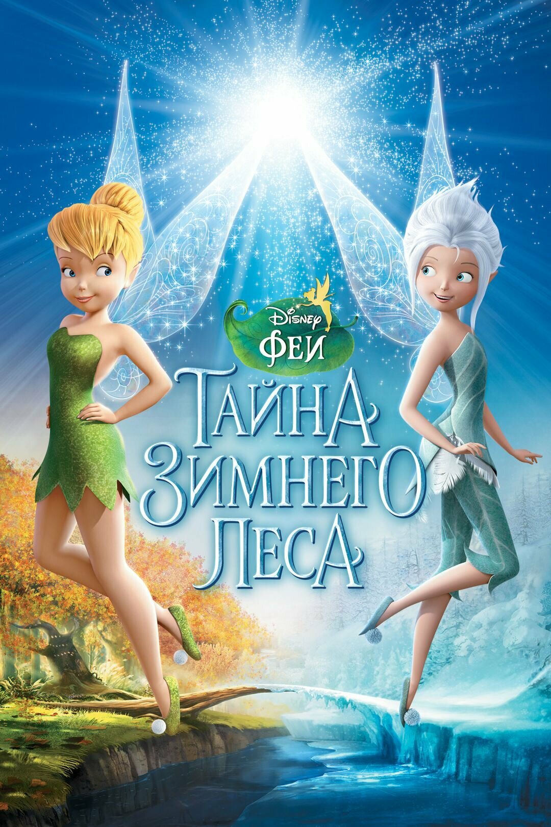 Феи: Тайна зимнего леса (2012) (DVD-R)