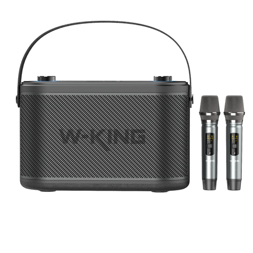 Беспроводная колонка King H10 c караоке и инструментальным входом 3099000₽