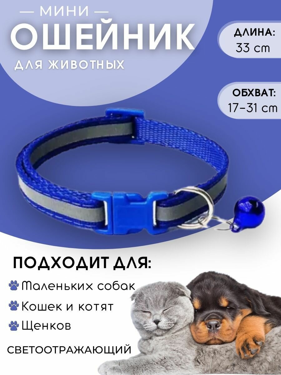 фото Ошейник для собак и для кошек, светоотражающий