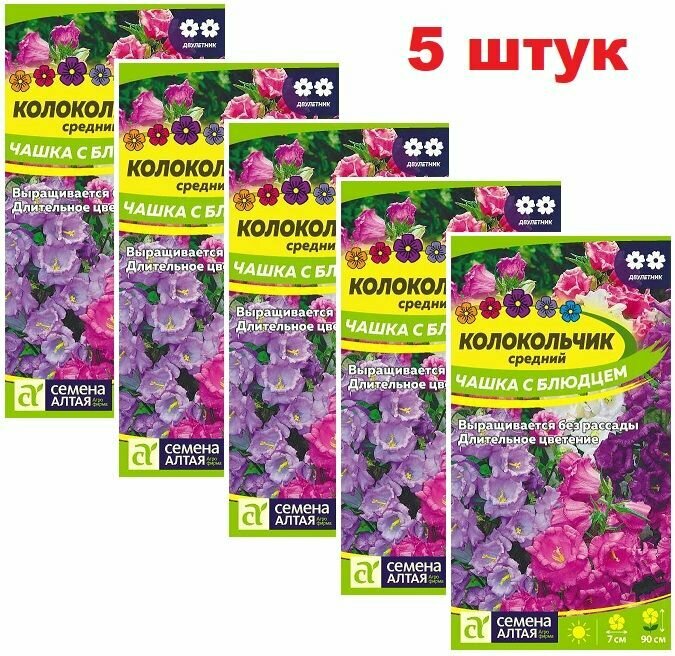 Колокольчиков (5 упаковок) Колокольчик Чашка с Блюдцем, семена Алтая на рассаду, выращивание в домашних условиях, Ф1 в открытый грунт 2024 год