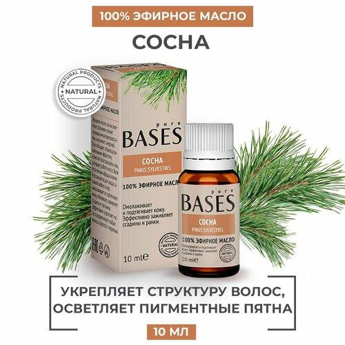 Натуральное 100% эфирное масло PURE BASES Сосна, 10 мл.