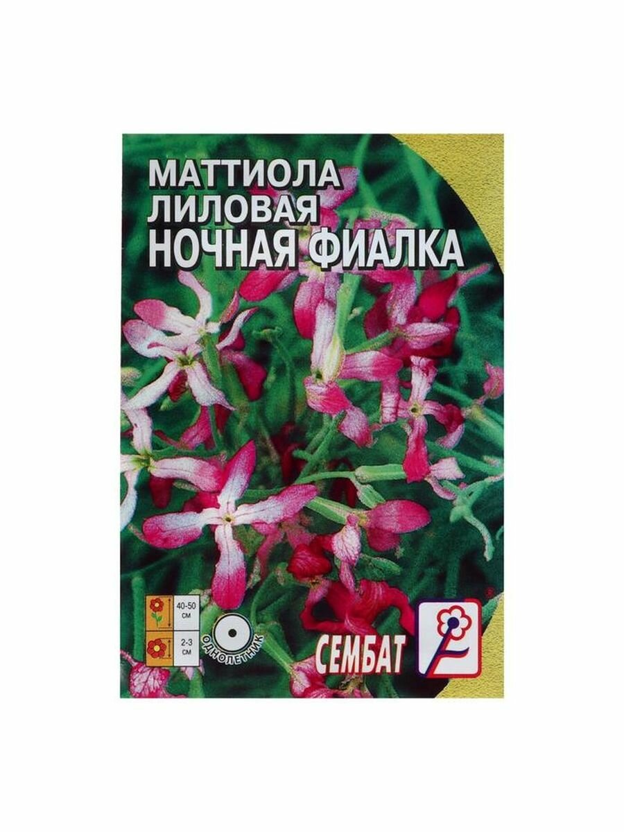 Семена цветов Маттиола Лиловая (ночая фиалка), 0,5 г