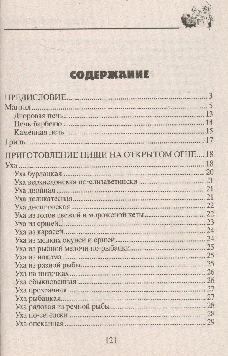 Казан, мангал, гриль, барбекю. Лучшие блюда на открытом огне. - фото №2