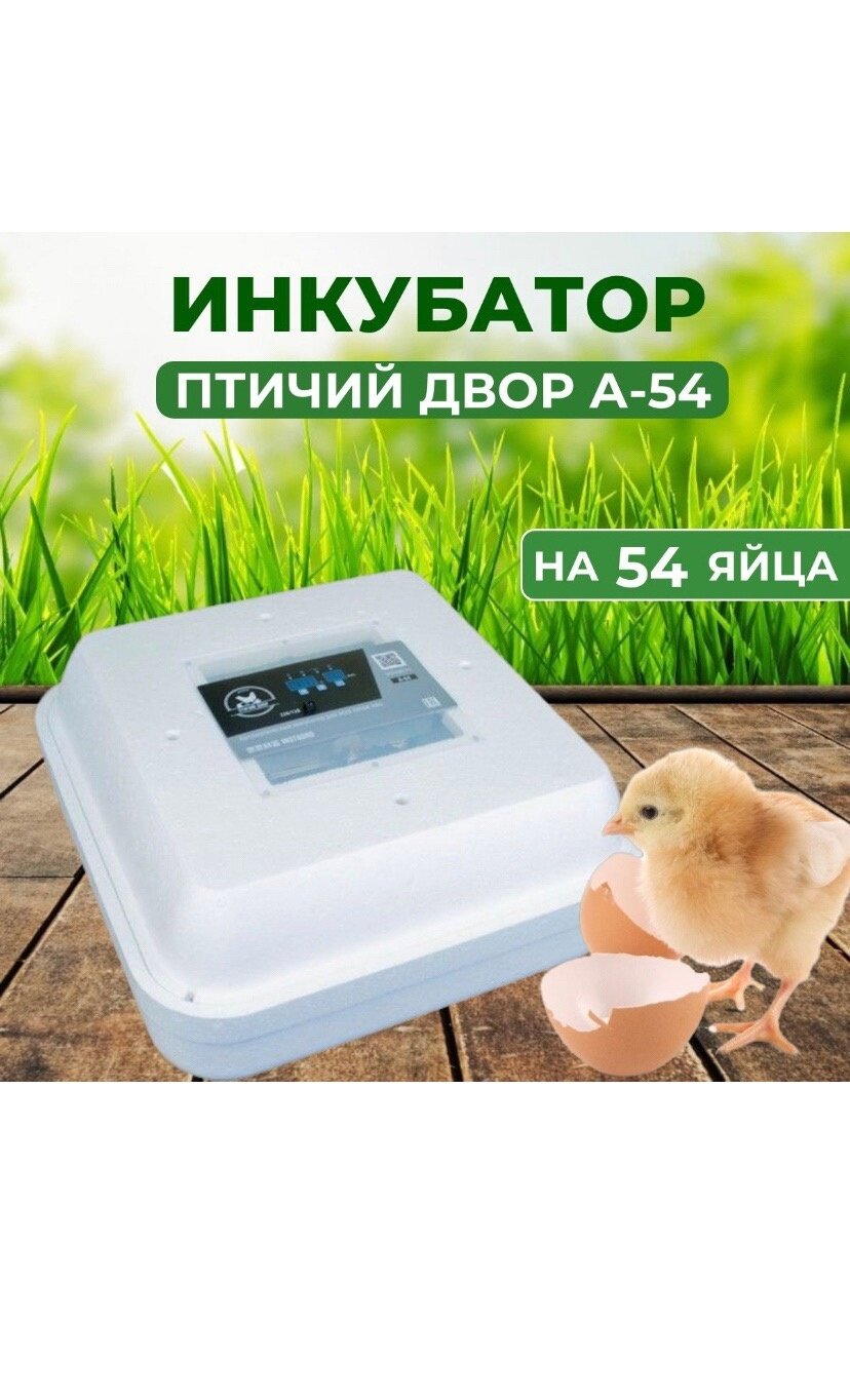 Инкубатор Птичий двор А 54