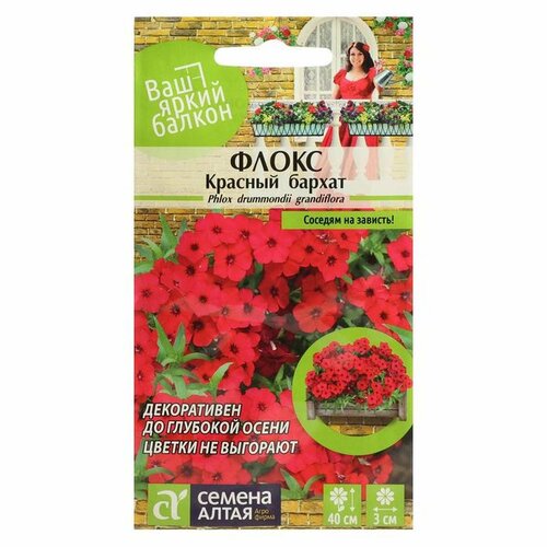 Семена цветов Флокс 