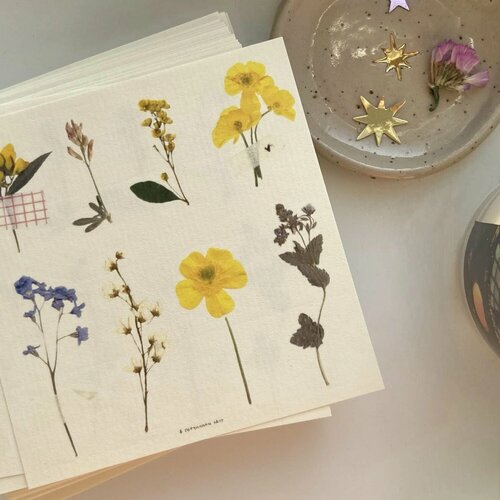 Стикерпак Цветы 10 х 10 см 405₽