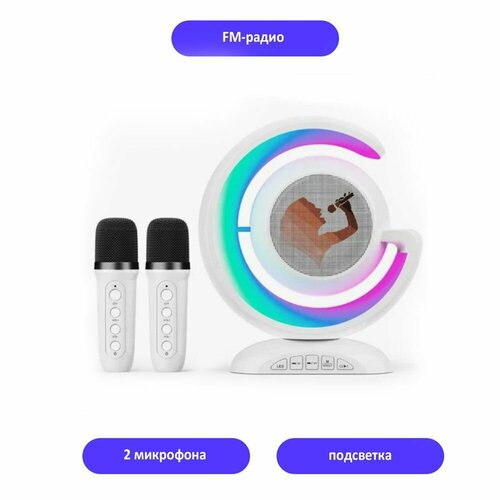 Беспроводной динамик с 2 микрофонами 370100₽