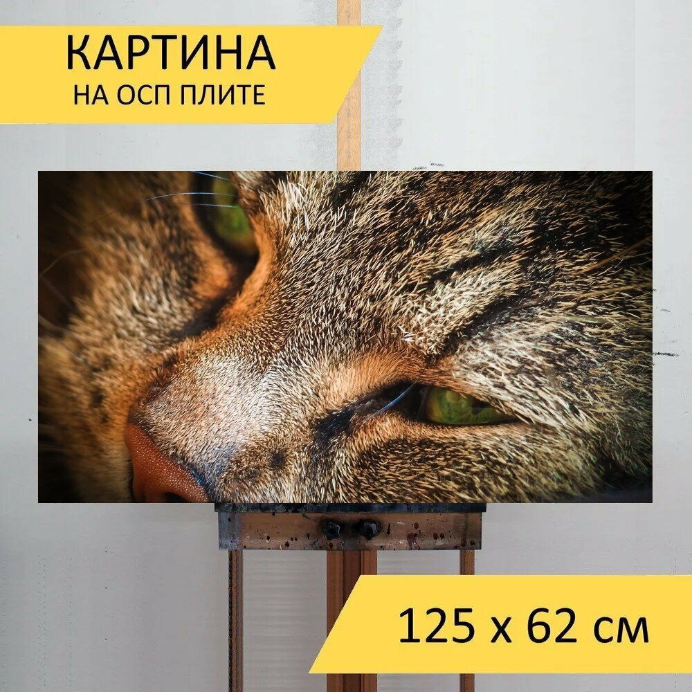 Картина на ОСП "Кот животное домашнее животное" 125x62 см. для интерьера на стену