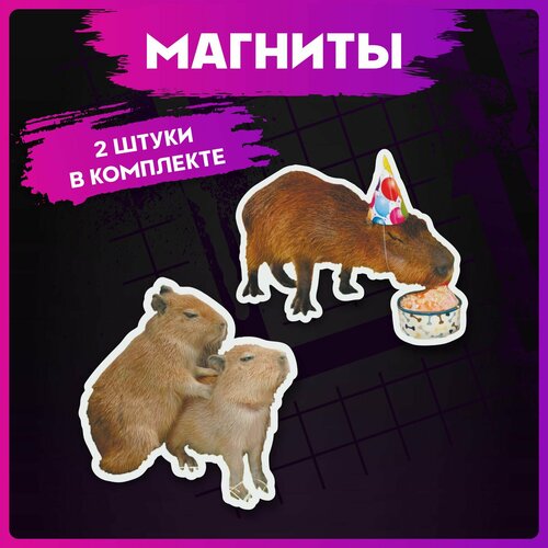 Магниты для доски Капибара 280₽