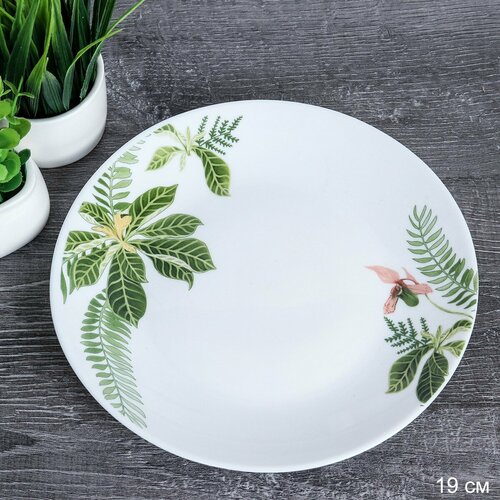 Набор десертных тарелок Tropical 6 штук плоские тарелки Тропик 1198₽