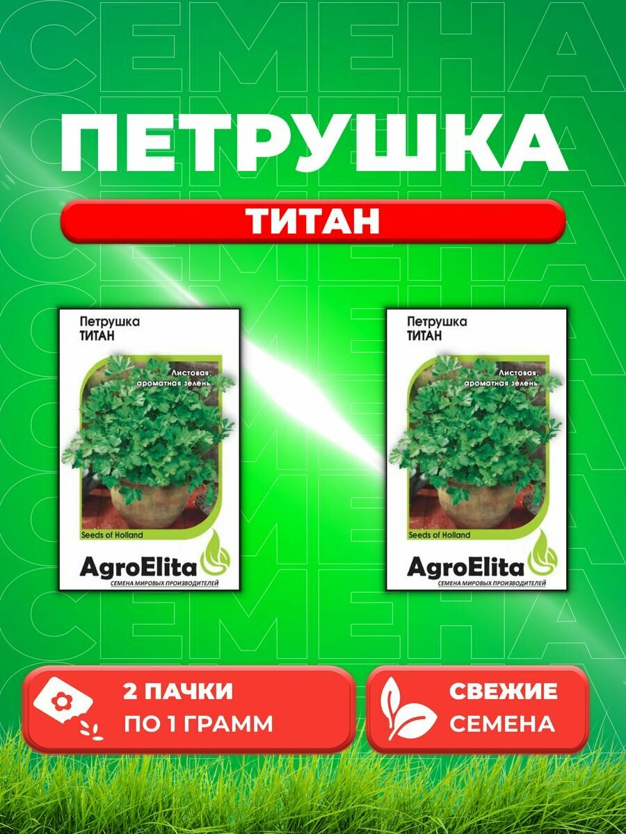 Петрушка листовая Титан, 1,0г, AgroElita, Bejo(2уп)