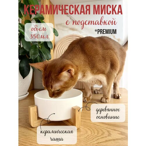 Миска керамическая на бамбуковой подставке