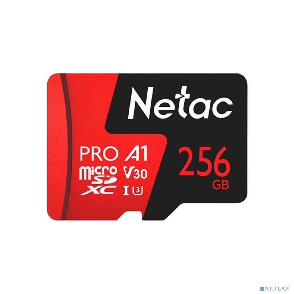 Карта MicroSD card Netac P500 Extreme Pro 256GB, retail version w/SD adapter — фото 1