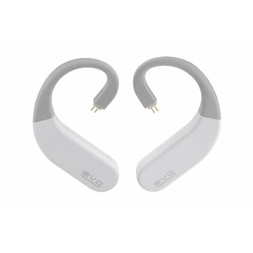 Bluetooth заушины MoonDrop EVO 9999₽