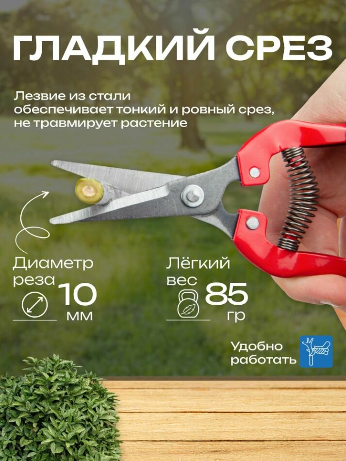 Изображение Сучкорез SN-10 садовый секатор-ножницы рез 10 мм красный