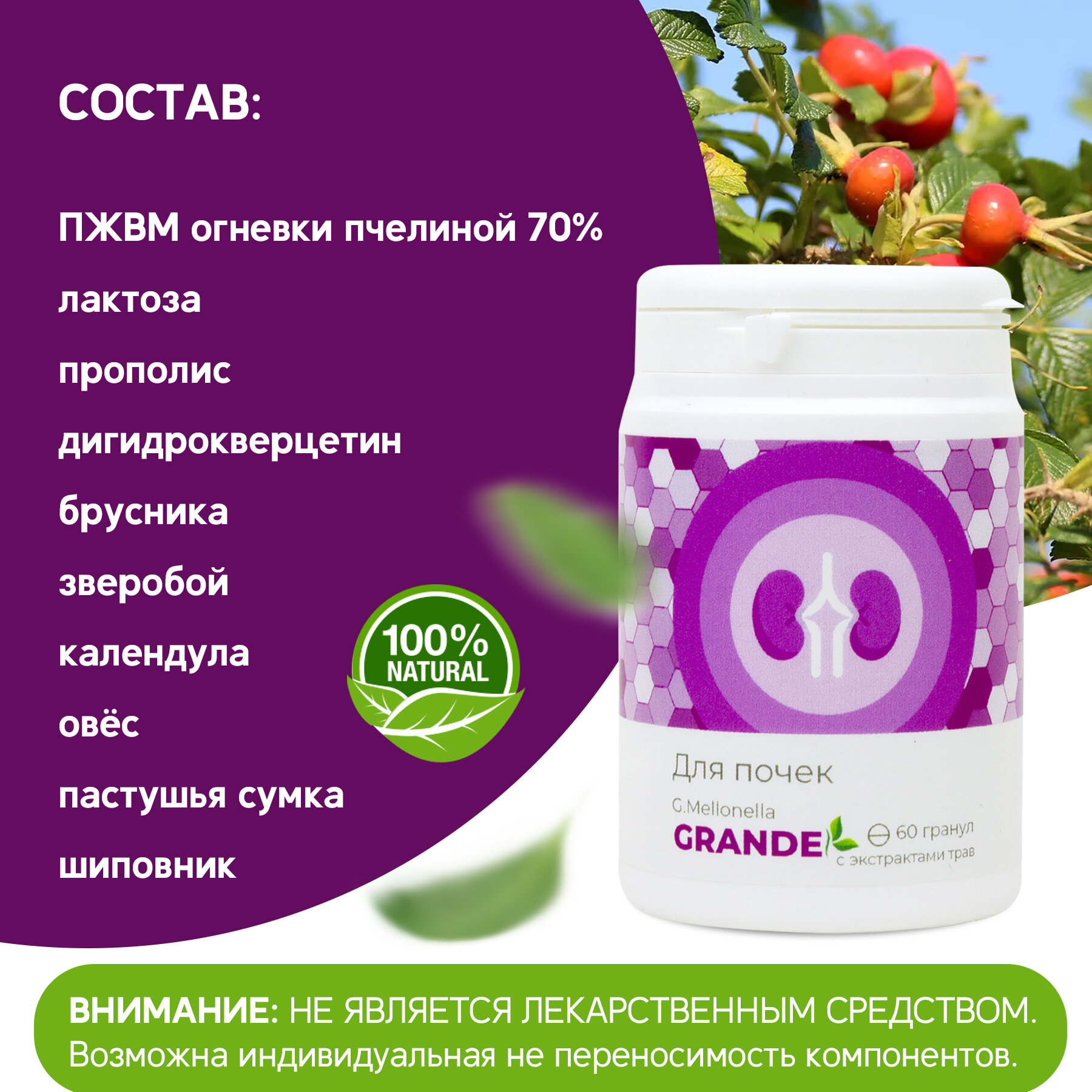 Изображение Двухмесячный комплекс " Огнёвка - Гранд " для почек, мочевыводящих каналов, выведение солей и шлаков, от отеков.