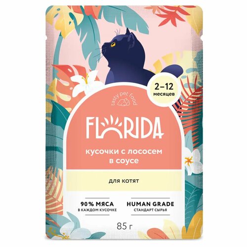 FLORIDA Паучи для котят: кусочки с лососем в соусе 85г
