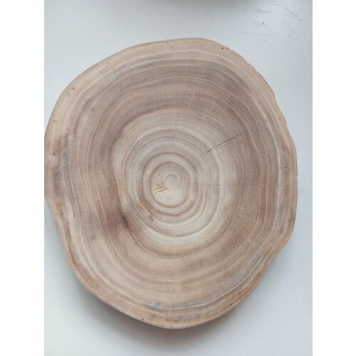 Спил дерева карагач подставка заготовка 191830см 1100₽