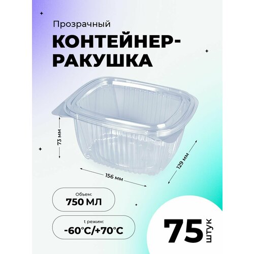 Контейнер-ракушка 156х129х73мм 750мл ПЭТ прямоугольный прозрачный с крышкой, 75 штук