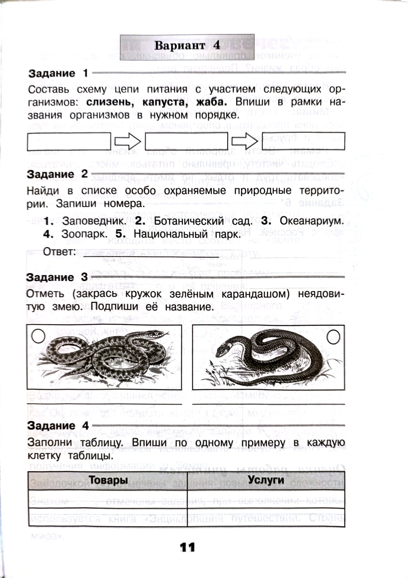 Окружающий мир. 4 класс. Проверочные работы