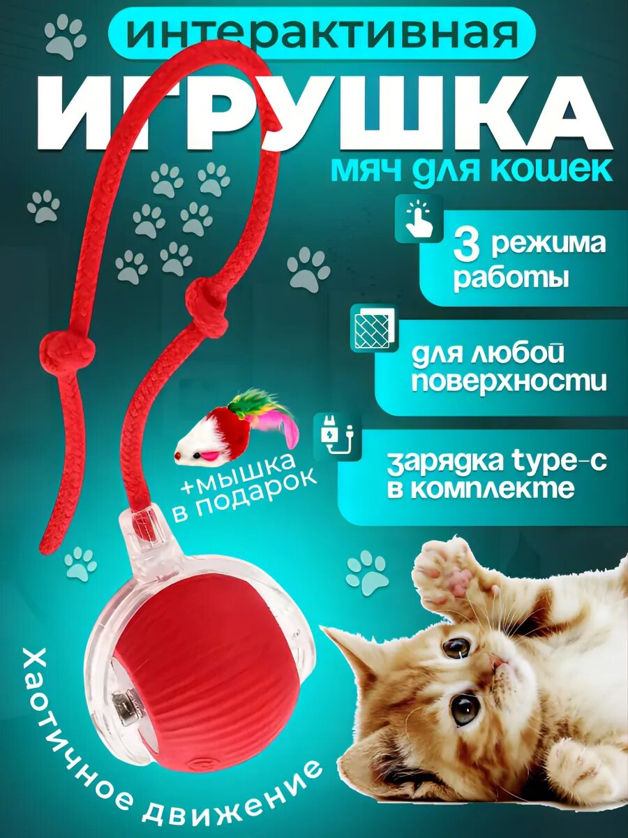 Умная игрушка 