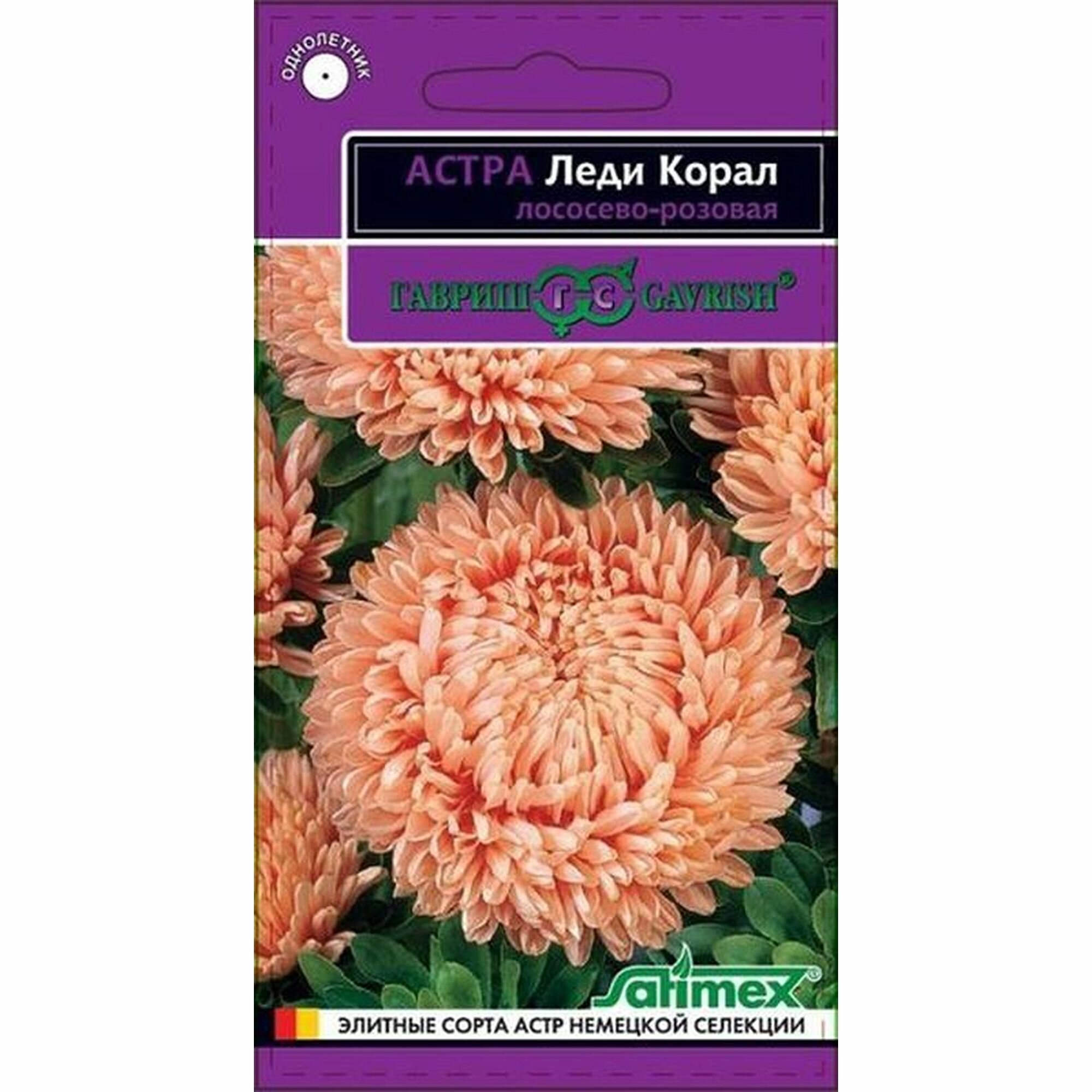 Семена Астра Леди Корал лососево-розовая розовидная однолетник Гавриш - Эксклюзив 1 пачка - 0.1г семян