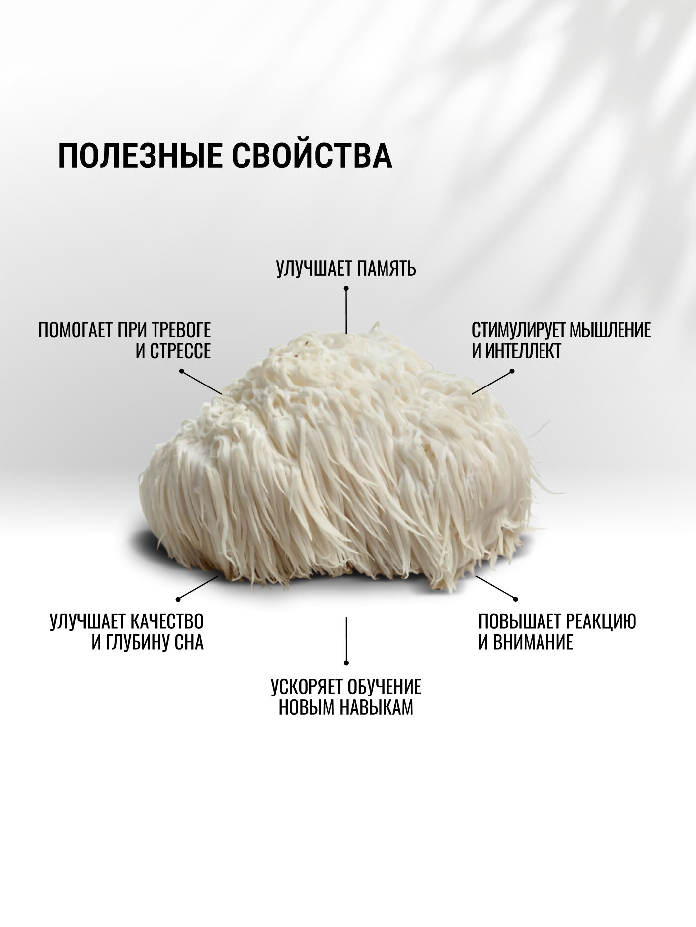 Картинки Ежовик гребенчатый Lions Mane жидкий экстракт. Для памяти. Для снижения стресса