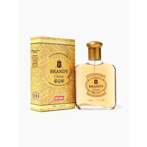 Туалетная вода мужская Brandy Classic 100 мл 637₽