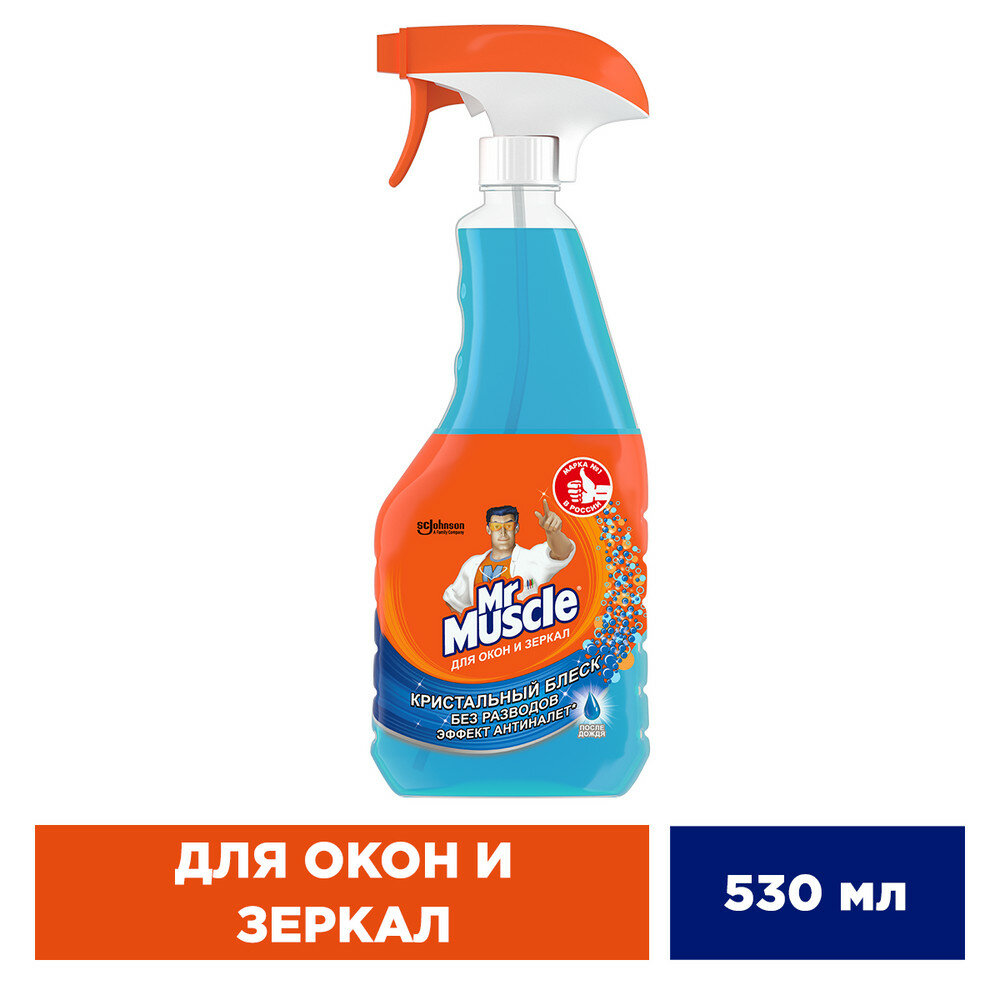 Профессионал для стекол и поверхностей После дождя Mr. Muscle