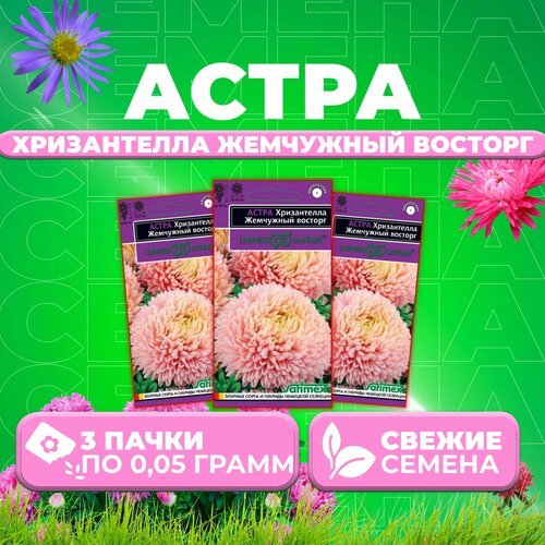 Астра Хризантелла Жемчужный восторг, 0,05г, Гавриш, Satimex (3 уп) астра хризантелла жемчужный восторг семена цветы