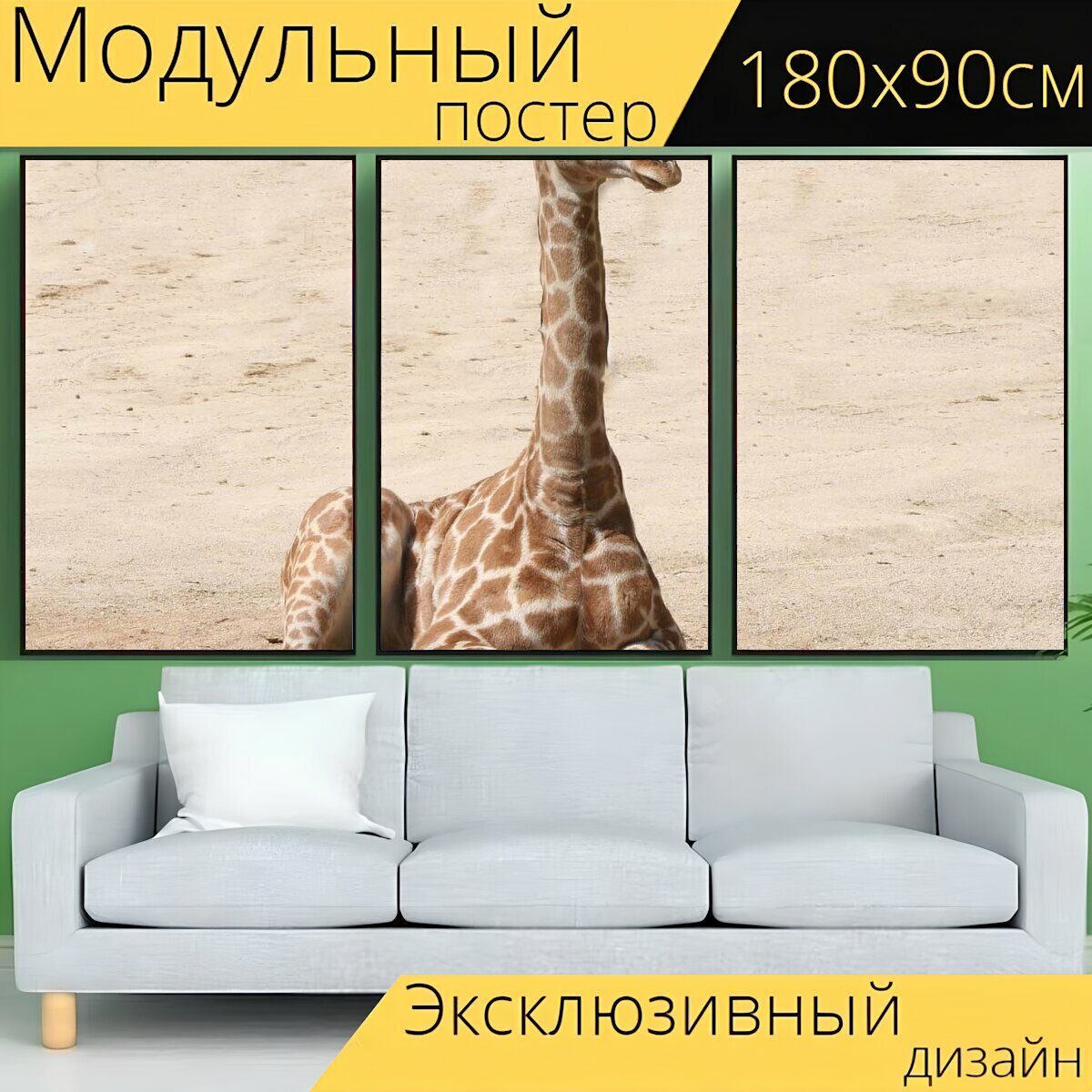 Модульный постер "Жирафа, детская жираф, млекопитающее" 180 x 90 см. для интерьера