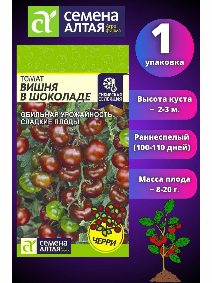 Томат Вишня в Шоколаде Черри 1 шт, Семена Алтая, Раннеспелый