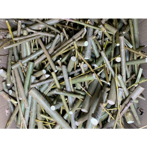 Ветви ивы россыпь 500 гр - лакомство для грызунов