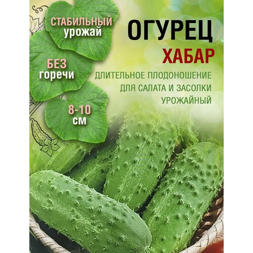 Огурец Хабар (1 пакет по 1гр)