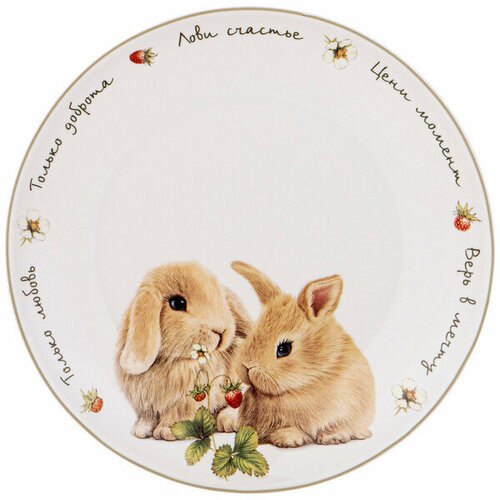 Тарелка закусочная 20,5см крольчата «Лови счастье»