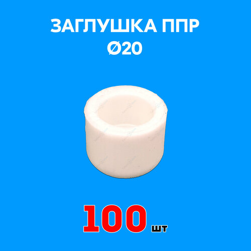 Заглушка полипропиленовая 20 (100 шт)