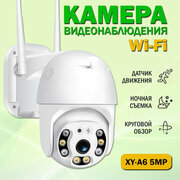 "XY-A6" - камера видеонаблюдения IP
