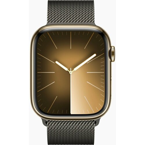 Умные часы Apple Watch Series 9 45 мм Stainless Steel Case GPS Cellular Graphite Milanese Loop 12178000₽