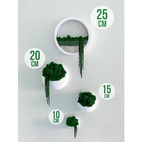 Набор настенного кашпо со мхом и амарантом 6160₽